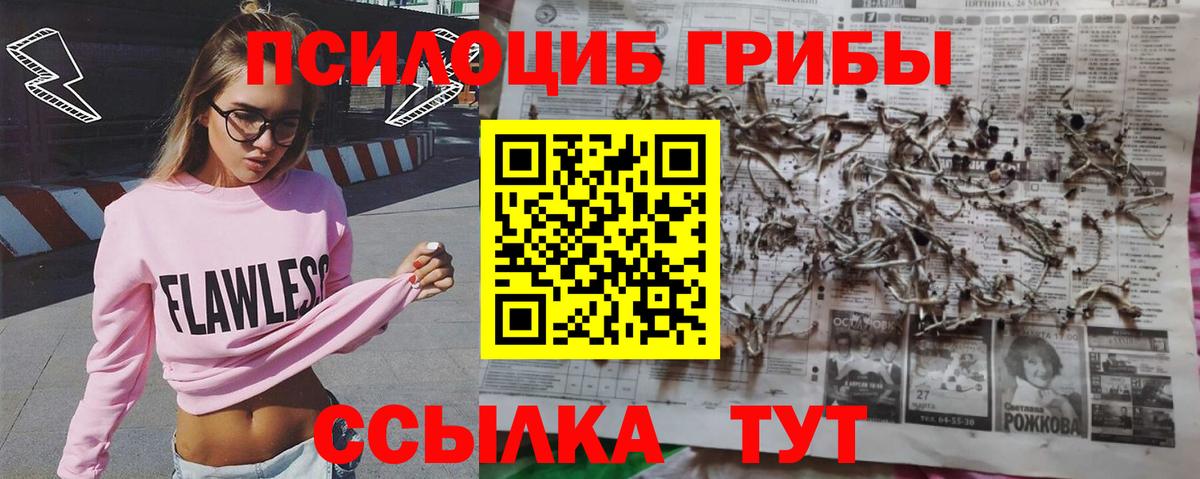 Дзержинский  Галлюциногенные грибы мицелий  Вход с VPN  Псилоцибиновые грибы Psilocybe 